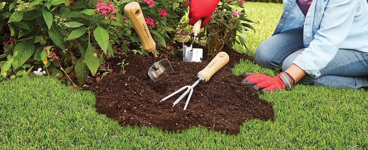 gardening-services-goa