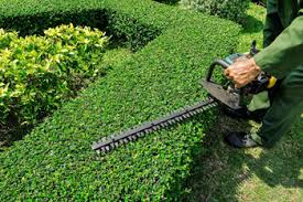 gardening-services-goa