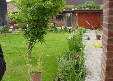 Gardening and Landscaping Services